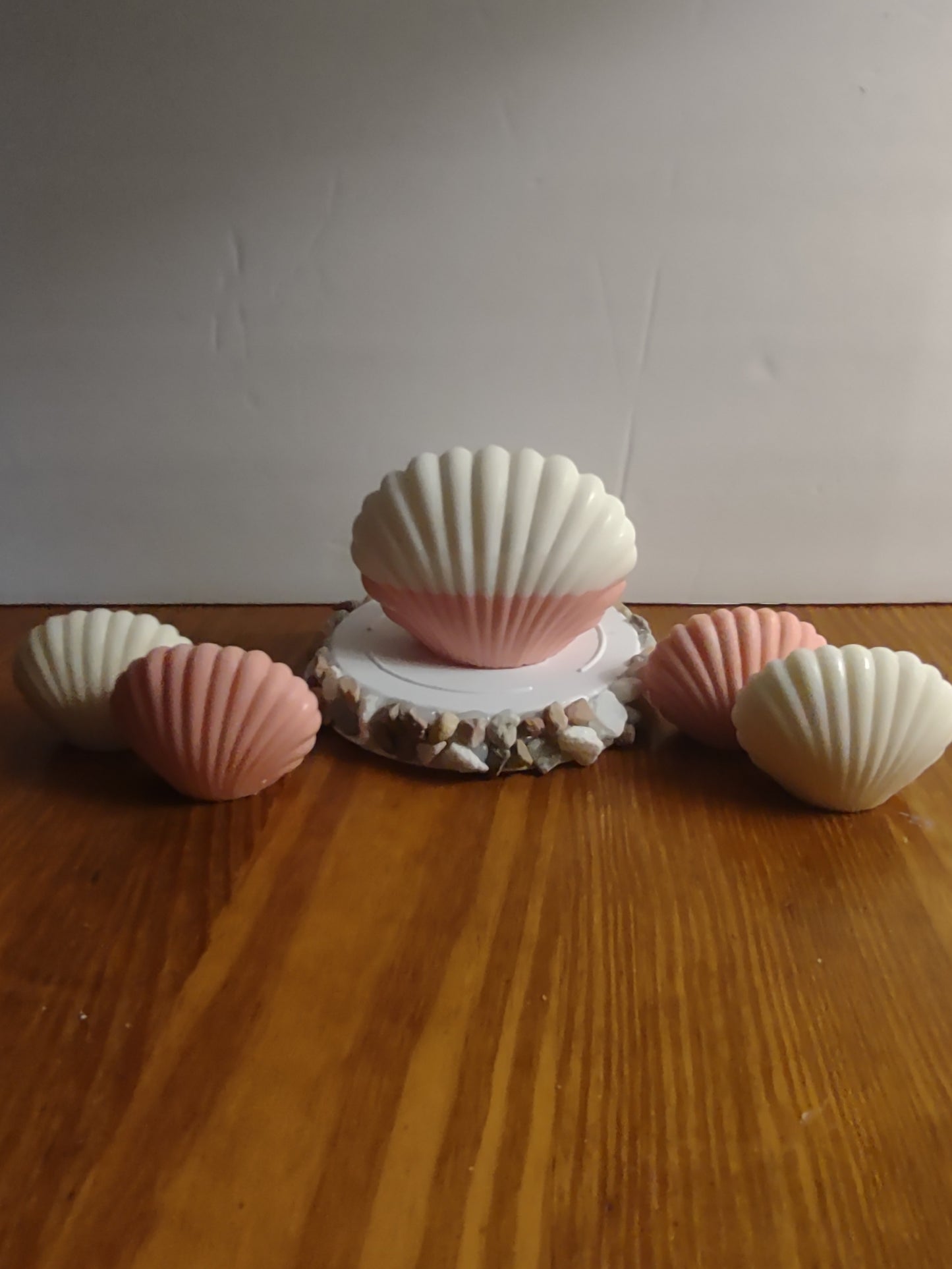 Seashell Set