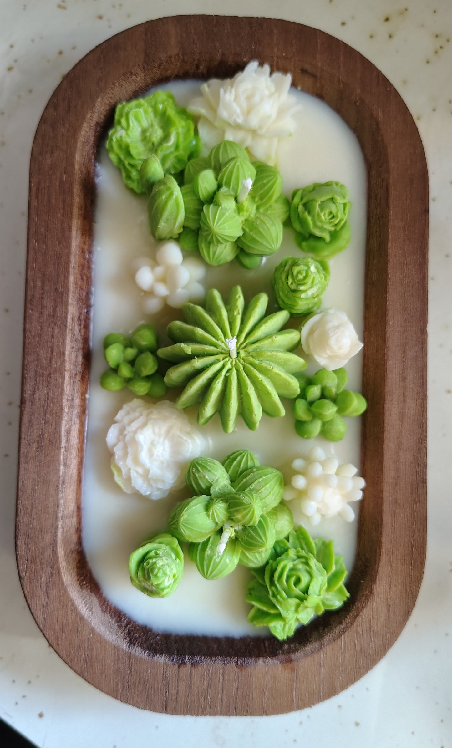 SUCCULENT DOUGH BOWL