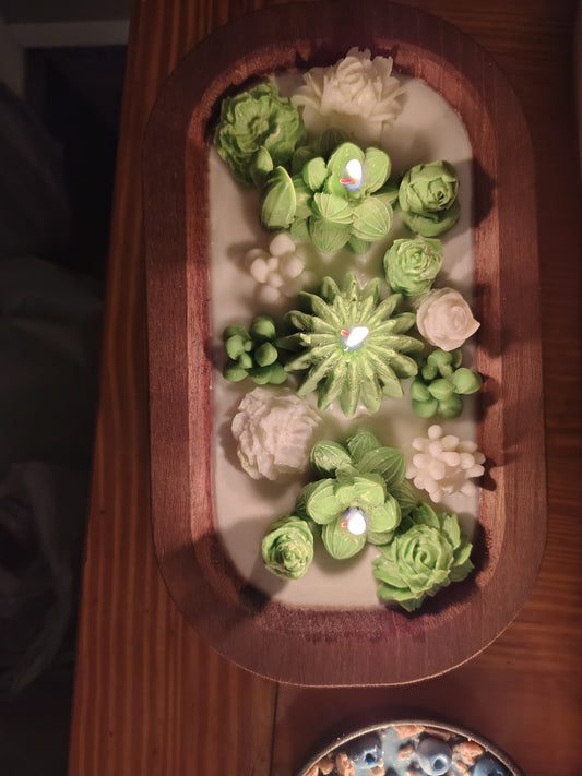 SUCCULENT DOUGH BOWL