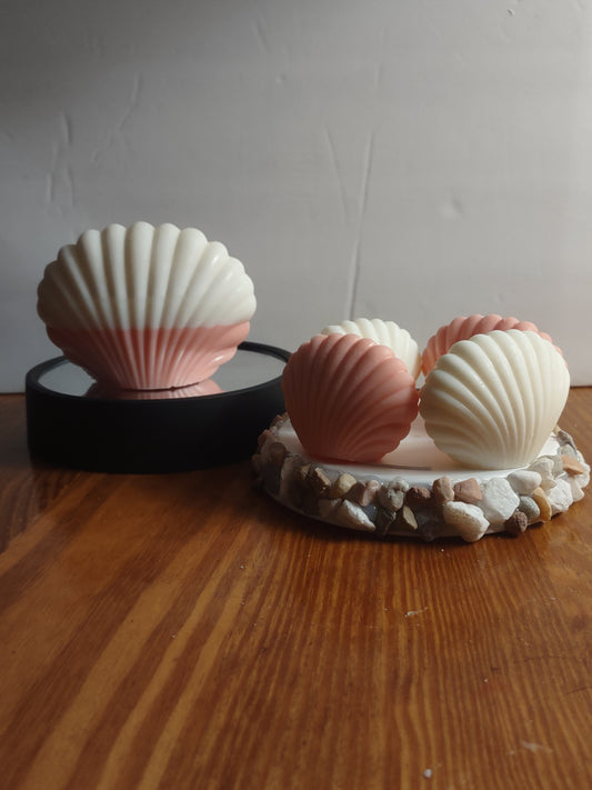 Seashell Set