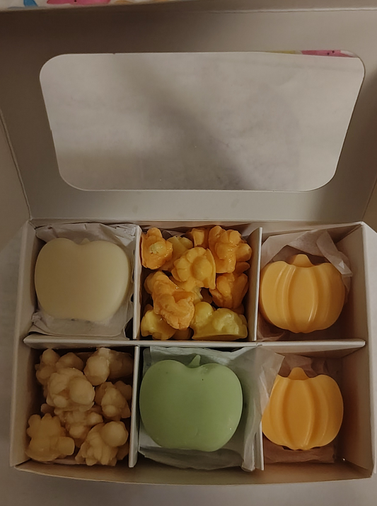 FALL SAMPLE BOX