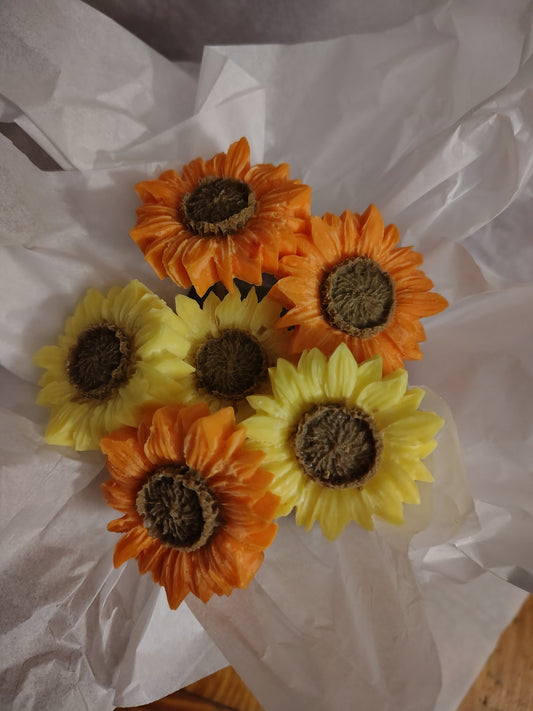 Sunflower Delight