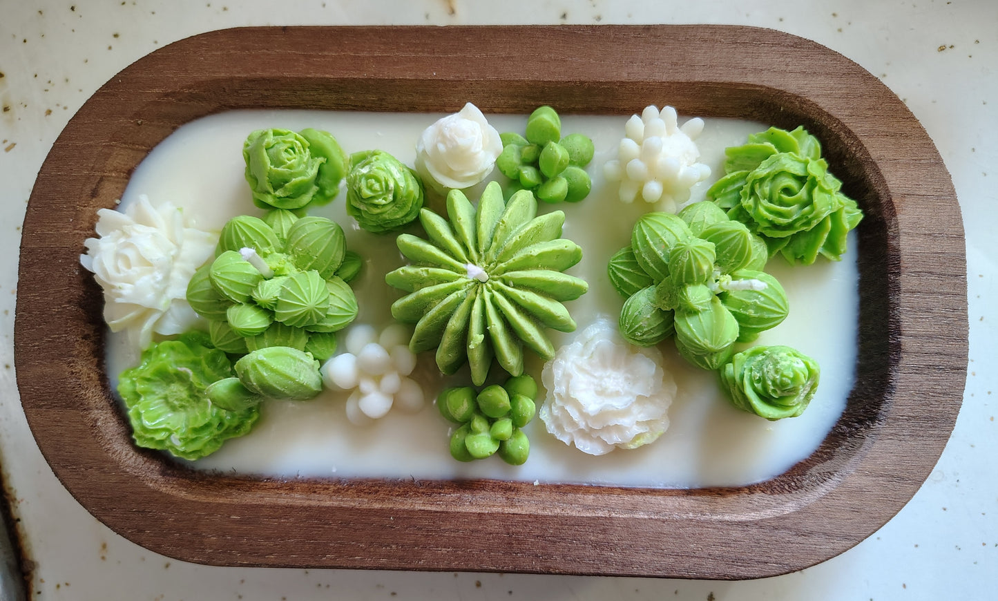 SUCCULENT DOUGH BOWL